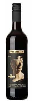 2019 Viteus A