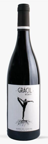 2022 GRÁCIL de Zaleo Tinto