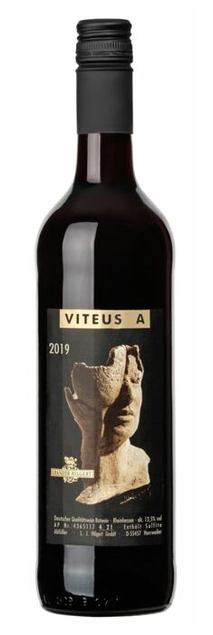 2019 Viteus A